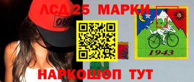 амф Кимры