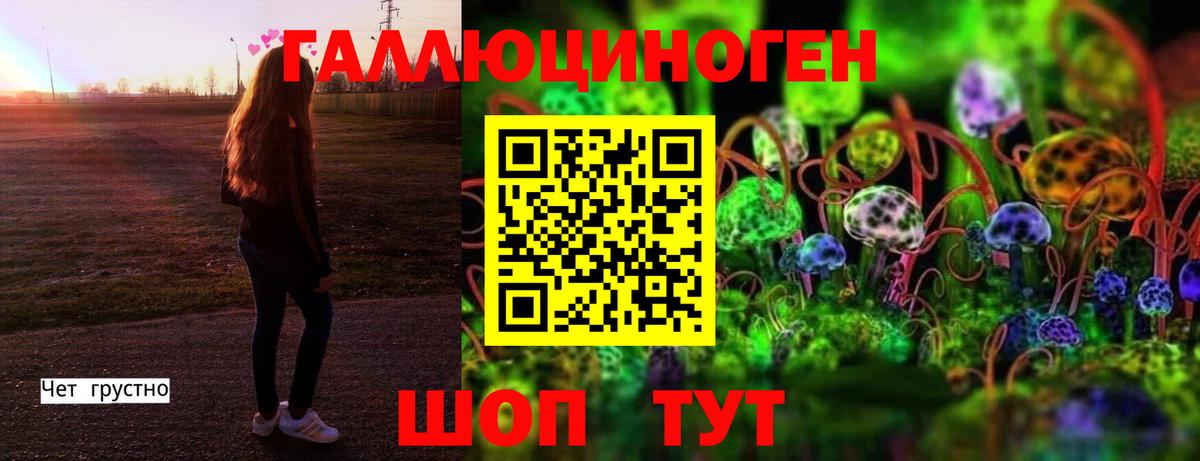 Псилоцибиновые грибы GOLDEN TEACHER Кимовск