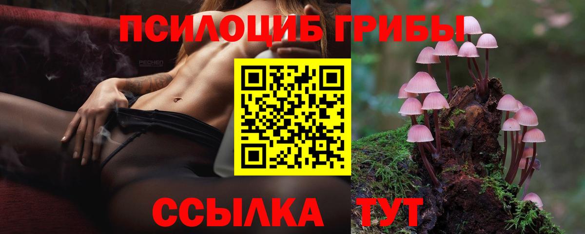 Галлюциногенные грибы GOLDEN TEACHER  Вход с VPN  Кимовск  Галлюциногенные грибы Psilocybe 